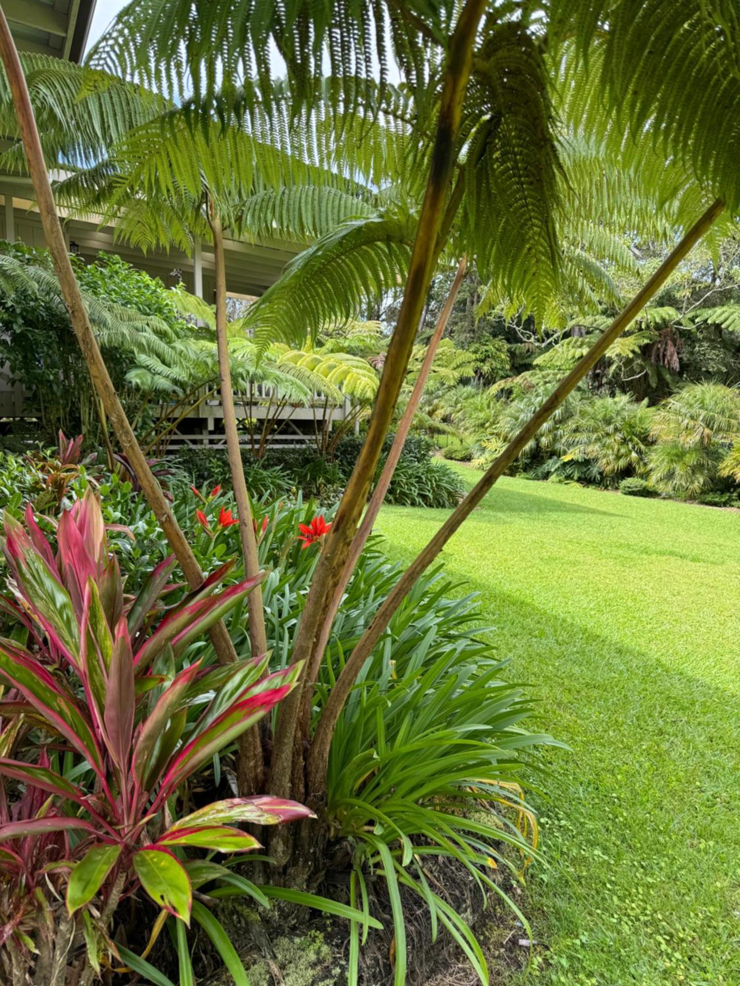 Aloha Junction Bed And Breakfast -Minutes Away From Hawaii Volcanoes National Park Exteriör bild