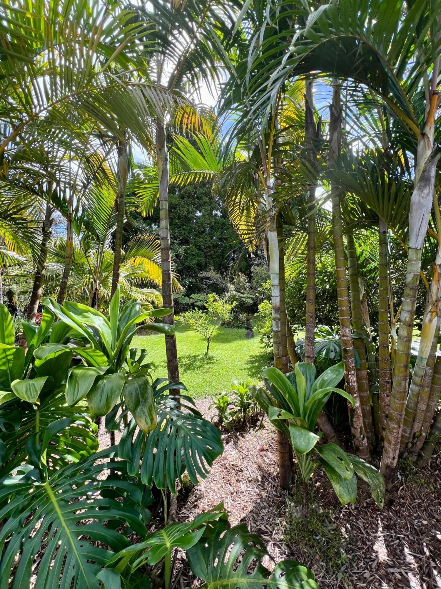 Aloha Junction Bed And Breakfast -Minutes Away From Hawaii Volcanoes National Park Exteriör bild